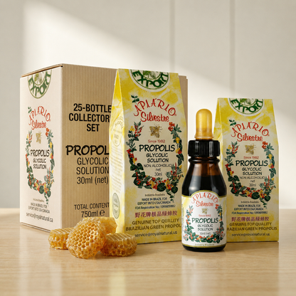 Apiário Silvestre Brazilian Green Propolis | 25-Bottle Family Value Set | Daily Wellness Support