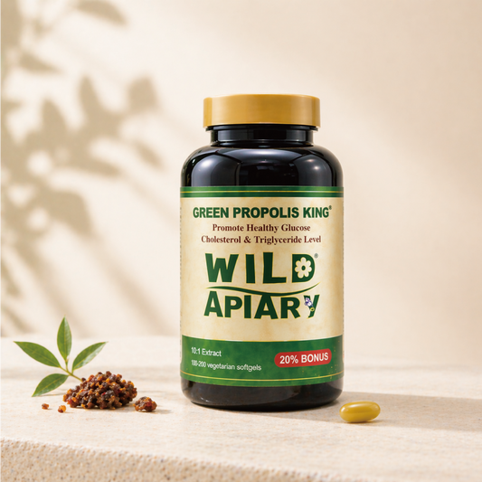 Wild Apiary Brazilian Green Propolis King Capsule | 10:1 Concentrated Formula| Daily Wellness Support