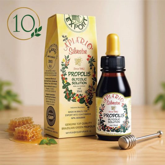 熱銷首選｜降糖套組｜巴西野花牌綠蜂膠30ml×10