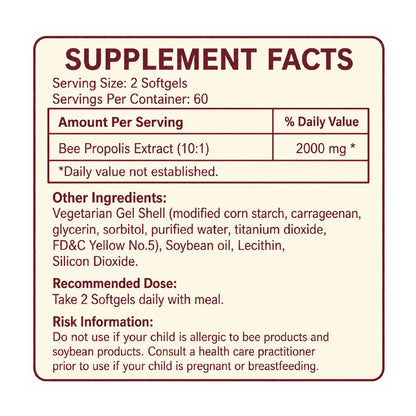 Wild Apiary Brazilian Green Propolis King Capsule | 10:1 Concentrated Formula| Daily Wellness Support